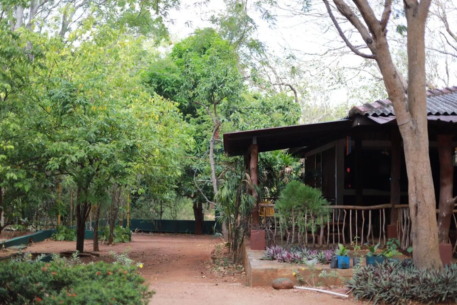 Kings Rest Sigiriya Hotel Piduragala 0*,  Sri Lanka