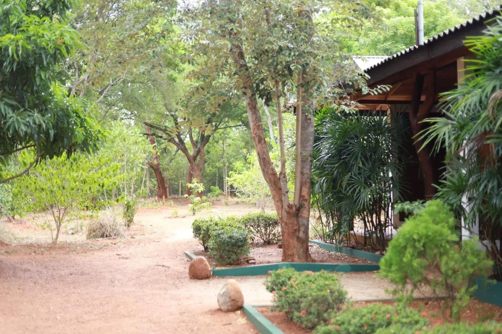 Kings Rest Sigiriya Hotel Piduragala Guest house