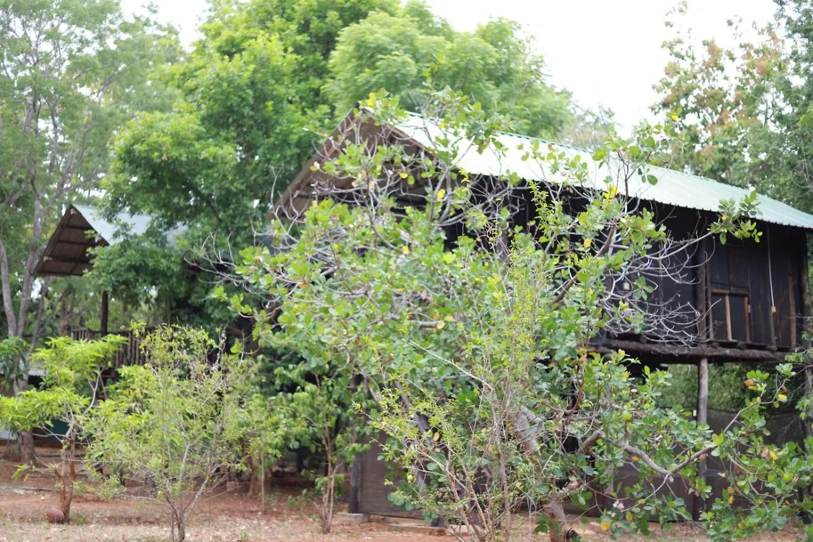 Guest house Kings Rest Sigiriya Hotel Piduragala Sri Lanka